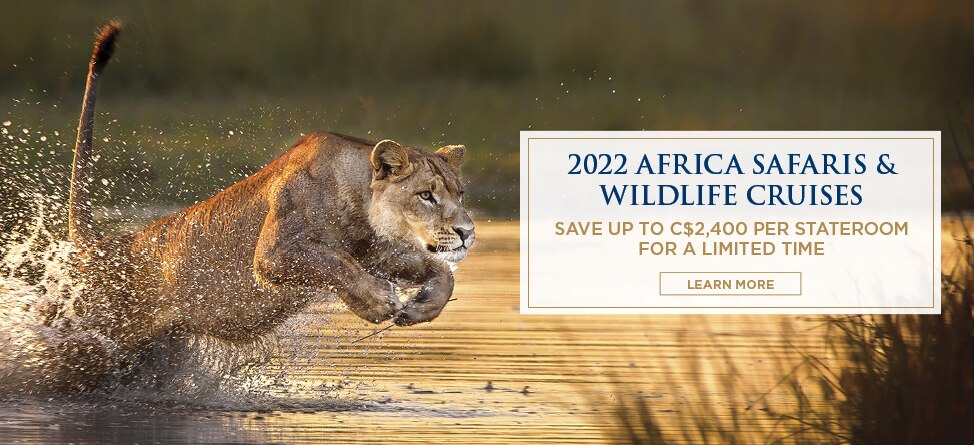 2022_Africa_CAD_974X445