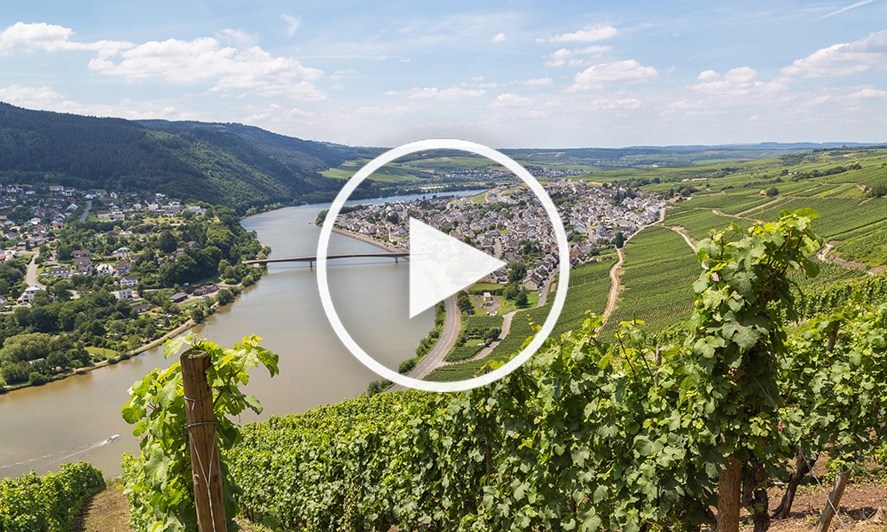 Europe-River-Wine-Cruises