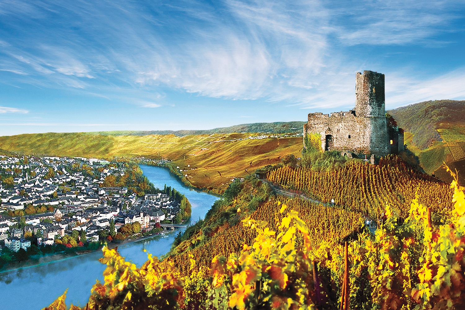 rhine river cruise wine tasting